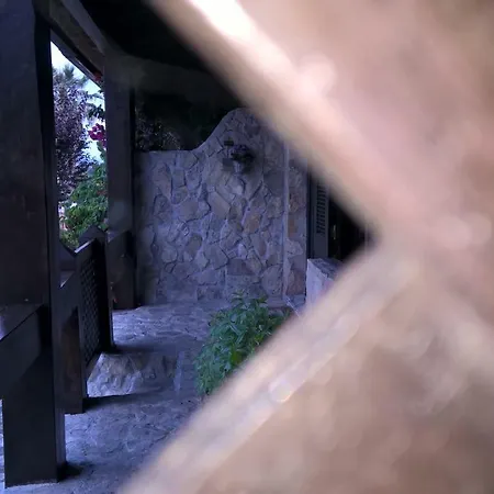 Tree House