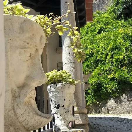 Tree House Óbidos