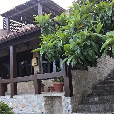 Semesterbostad Tree House Óbidos